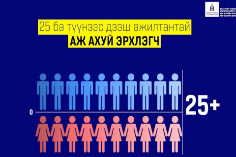 25-аас дээш ажилтантай байгууллагын уравны хоёр ба түүнээс дээш хувийг хөгжлийн бэрхшээлтэй иргэд эзэлдэг бол татварыг хөнгөлнө